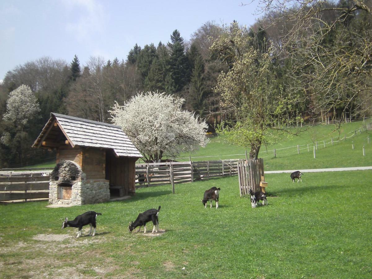 Villa Bauernhof Kaspergut à Kirchberg bei Mattighofen Extérieur photo